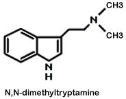 DIMETHYLTRYPTAMINE