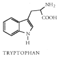 Tryptophan